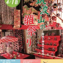 筑波山の梅まつりと同時に雛祭り開催！ 