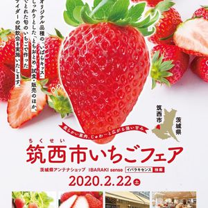  「筑西市いちごフェア」のお知らせ