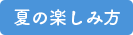 夏の楽しみ方