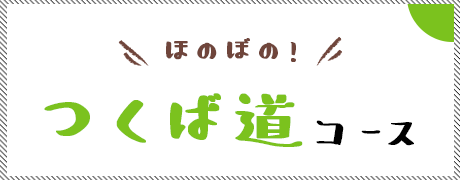 ほのぼの！つくば道コース