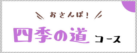 おさんぽ！四季の道コース