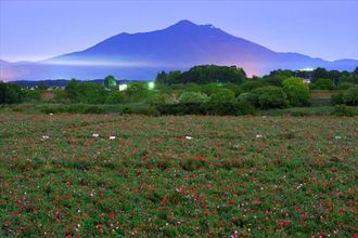 小貝川ふれあい公園