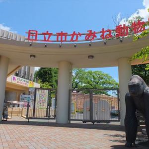 日立市かみね動物園