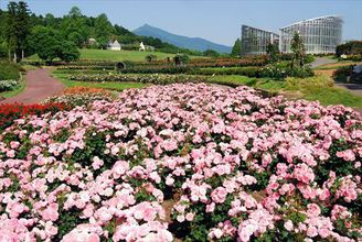 茨城県フラワーパーク