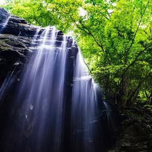 袋田の滝