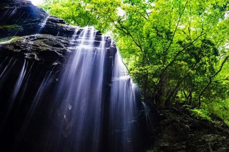 袋田の滝